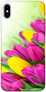 Чехол Красочные тюльпаны для iPhone XS (5.8")