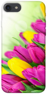 Чехол Красочные тюльпаны для iPhone 8