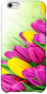 Чехол Красочные тюльпаны для iPhone 6s plus (5.5'')