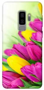 Чехол Красочные тюльпаны для Galaxy S9+