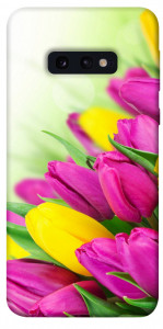 Чехол Красочные тюльпаны для Galaxy S10e