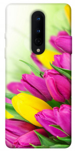 Чехол Красочные тюльпаны для OnePlus 8