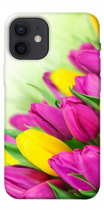Чохол Барвисті тюльпани для iPhone 12 mini