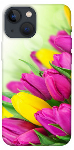 Чехол Красочные тюльпаны для iPhone 13 mini