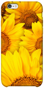 Чохол Букет соняшників для iPhone 6 (4.7'')