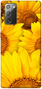 Чехол Букет подсолнухов для Galaxy Note 20