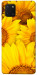 Чехол Букет подсолнухов для Galaxy Note 10 Lite (2020)