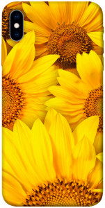 Чохол Букет соняшників для iPhone XS