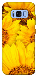 Чехол Букет подсолнухов для Galaxy S8 (G950)