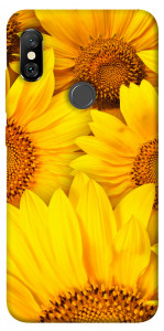 Чохол Букет соняшників для Xiaomi Redmi Note 6 Pro