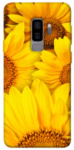 Чехол Букет подсолнухов для Galaxy S9+