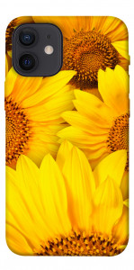 Чохол Букет соняшників для iPhone 12 mini