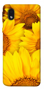 Чохол Букет соняшників для Samsung Galaxy M01 Core