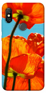 Чехол Яркие маки для Xiaomi Redmi Note 6 Pro