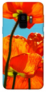 Чехол Яркие маки для Galaxy S9