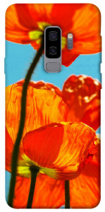 Чехол Яркие маки для Galaxy S9+