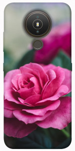 Чохол Троянда у саду для Nokia 1.4