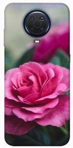 Чехол Роза в саду для Nokia 6.3