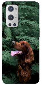 Чехол Собака в зелени для Oneplus 9 pro