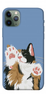 Чехол Funny cat для iPhone 11 Pro