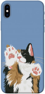 Чохол Funny cat для iPhone XS Max