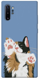 Чехол Funny cat для Galaxy Note 10+ (2019)