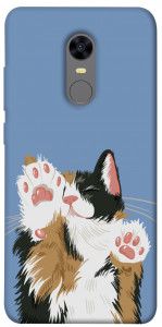 Чехол Funny cat для Xiaomi Redmi 5 Plus