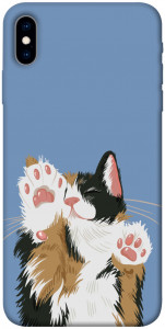 Чохол Funny cat для iPhone XS