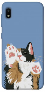 Чехол Funny cat для Galaxy A10 (A105F)