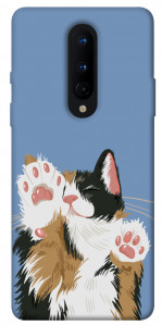 Чехол Funny cat для OnePlus 8