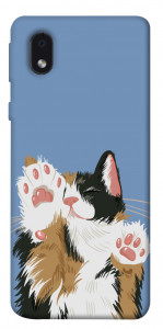 Чехол Funny cat для Samsung Galaxy M01 Core