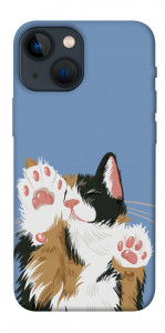 Чехол Funny cat для iPhone 13 mini