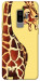 Чехол Cool giraffe для Galaxy S9+
