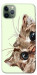 Чехол Cat muzzle для iPhone 11 Pro Max