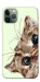 Чохол Cat muzzle для iPhone 11 Pro