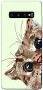 Чехол Cat muzzle для Galaxy S10 Plus (2019)