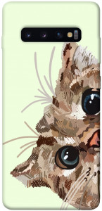 Чехол Cat muzzle для Galaxy S10 Plus (2019)