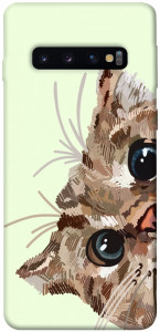 Чехол Cat muzzle для Galaxy S10 (2019)