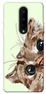 Чехол Cat muzzle для OnePlus 8