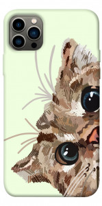 Чохол Cat muzzle для iPhone 12 Pro