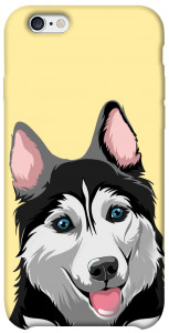 Чохол Husky dog для iPhone 6s (4.7'')