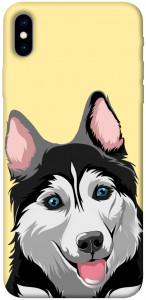 Чохол Husky dog для iPhone XS Max