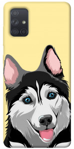Чохол Husky dog для Galaxy A71 (2020)
