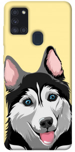 Чехол Husky dog для Galaxy A21s (2020)