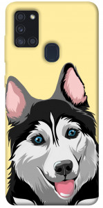 Чохол Husky dog для Galaxy A21s (2020)