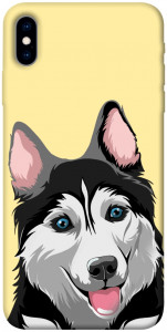 Чехол Husky dog для iPhone XS