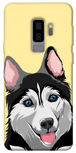 Чехол Husky dog для Galaxy S9+