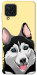 Чехол Husky dog для Galaxy M22