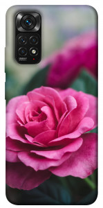 Чехол Роза в саду для Xiaomi Redmi Note 11 (Global)