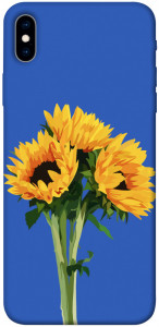 Чехол Bouquet of sunflowers для iPhone XS Max